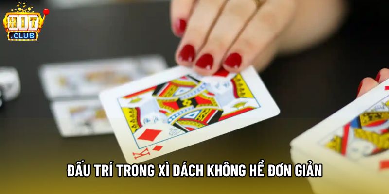 Đấu trí trong xì dách không hề đơn giản Đấu trí trong xì dách không hề đơn giản