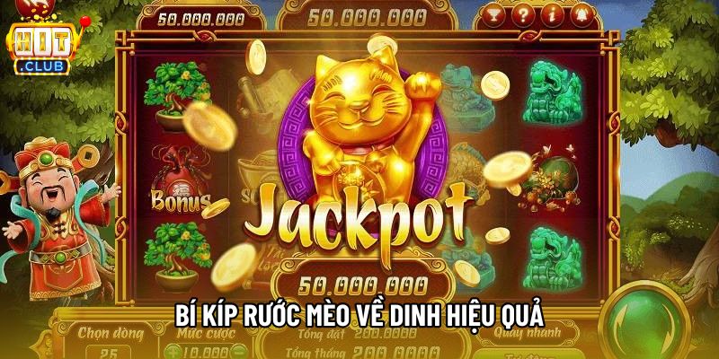 Bí kíp rước Mèo về dinh hiệu quả